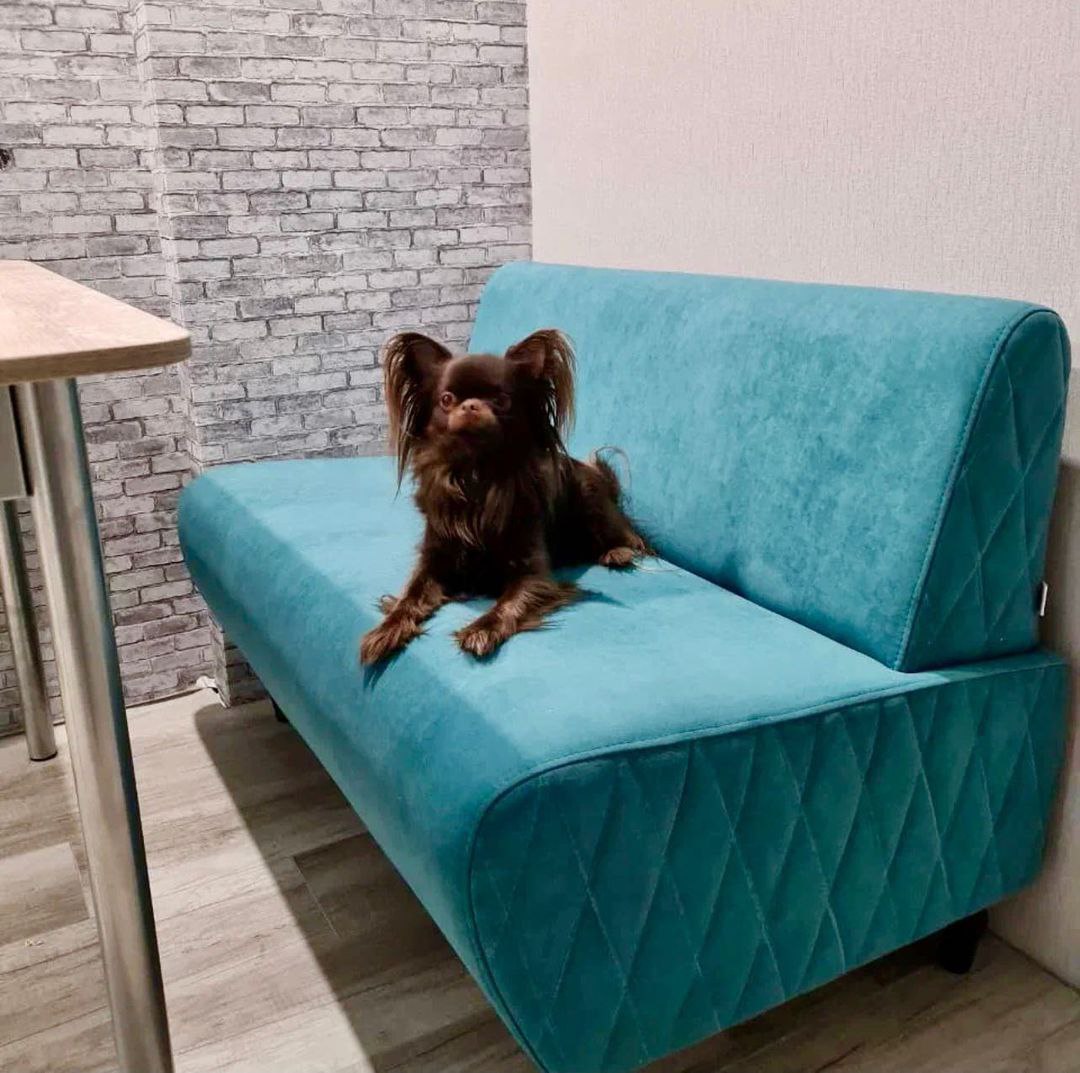 Обивка диванов